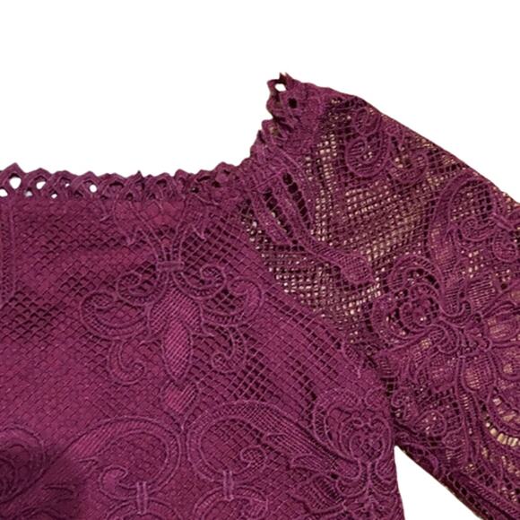 NWT Lucy Paris Burgundy Crochet Lace Crop Top Size Large - Picture 6 of 10